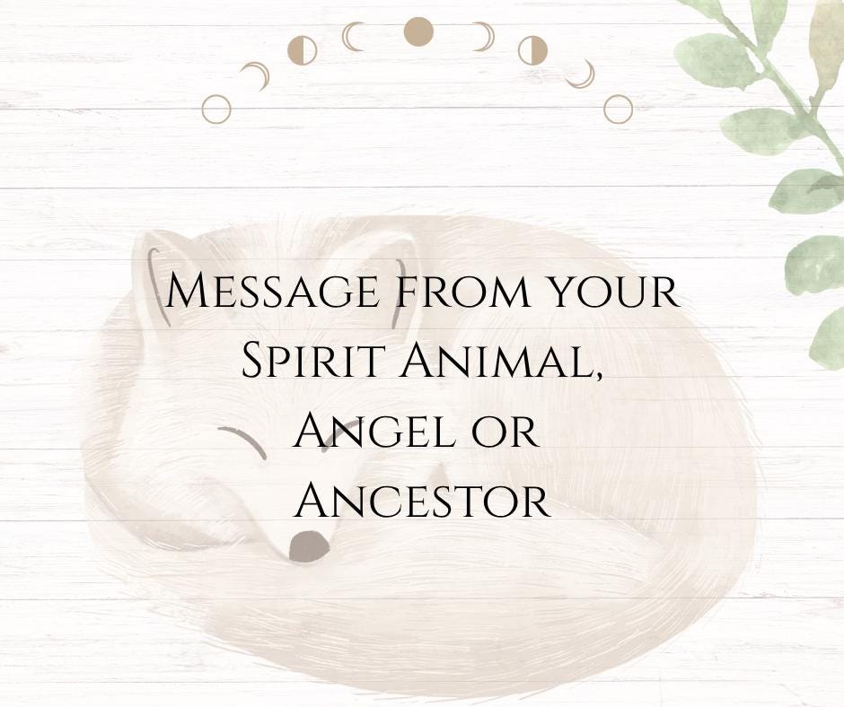 ANIMAL, ANGELS & ANCESTOR | Spirit Message | Oracle and Tarot | Reading