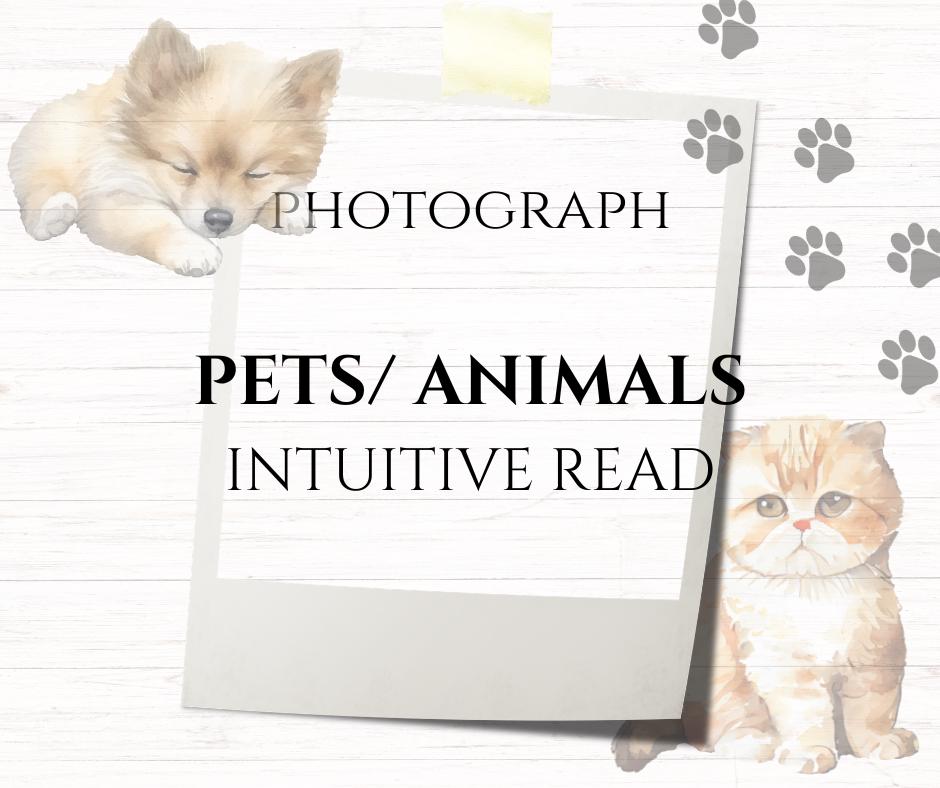 PET AND ANIMAL READING